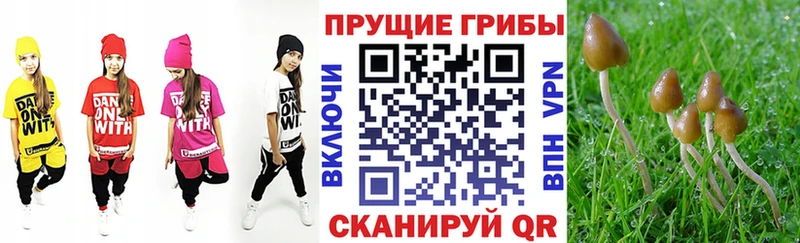 Галлюциногенные грибы GOLDEN TEACHER  Купить  Балахна 
